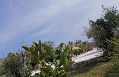 Dimora Santi Medici - Foto 59