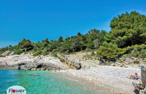 Romantic Apartment Flower - Photo 30