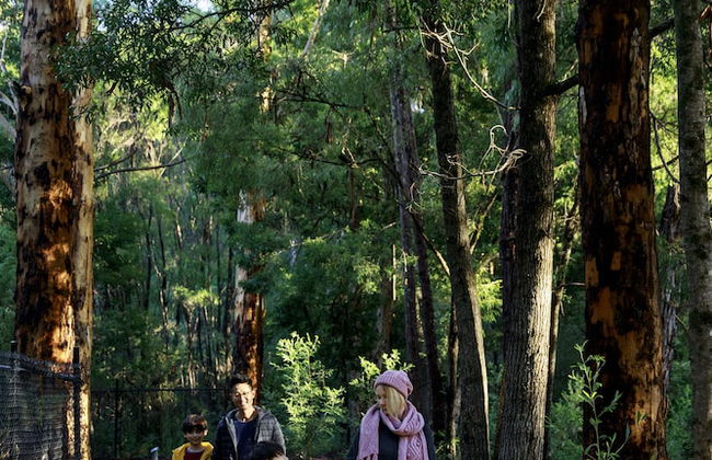 RAC Karri Valley Resort - Foto 44