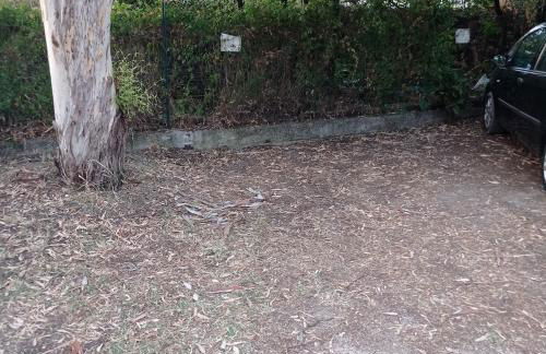 Alloggio panoramico sul mare di Vindicio - Foto 24