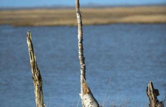 Villa Vind - Dänische Gemütlichkeit - Foto 18