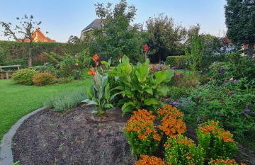 Ferienwohnung Kiefernstraße 1 Mettingen - Foto 3