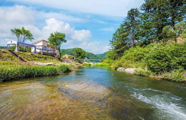 Elle Pension - Foto 68