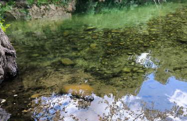 Los Naranjos de Jerte - Foto 6