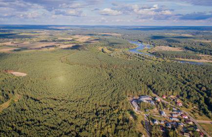 Pasieka Podlaska Tradycja - Foto 48