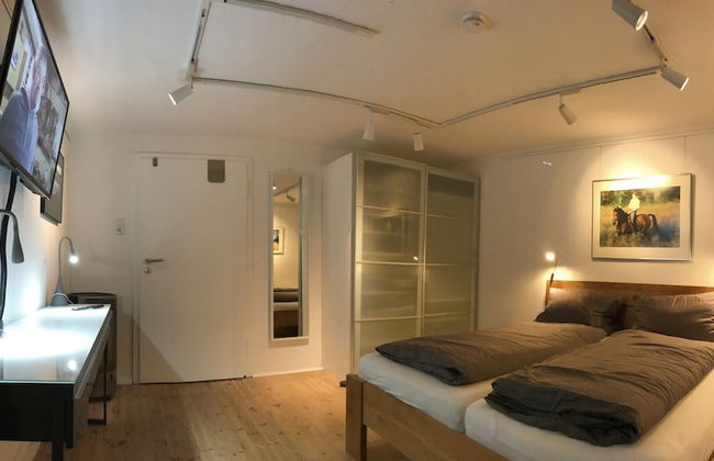 Natur pur in den Amperauen - Photo 1