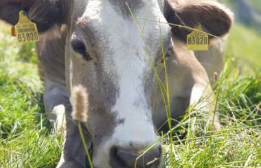 Ferienwohnungen Britta Heim - Photo 64