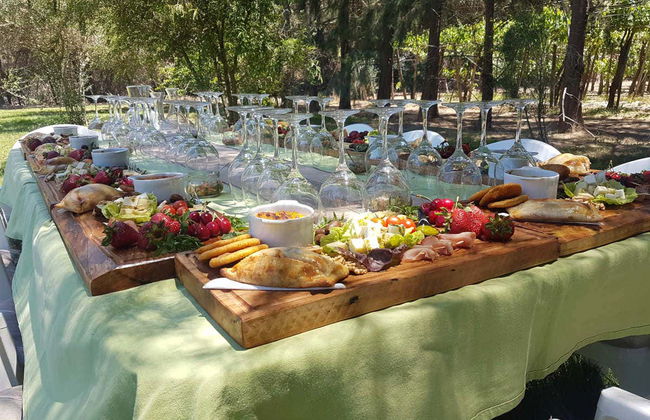 Isla de Maipo Wine Tour - Photo 2