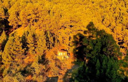 Tiny House Vogelnest - Foto 1