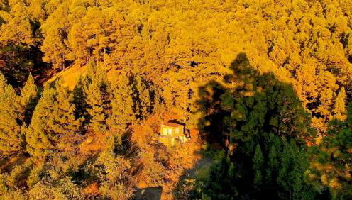 Tiny House Vogelnest - Foto 1