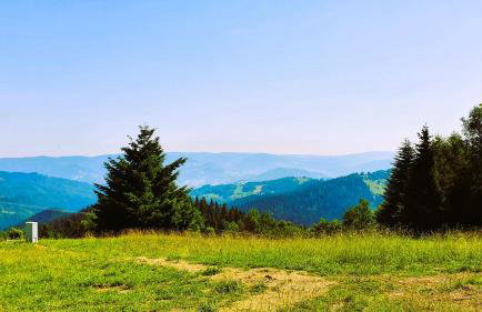 Hytta Eliaszówka - Foto 20