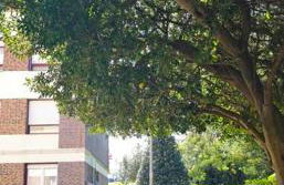 Lively Sopela by Kima Gestíon - Photo 30