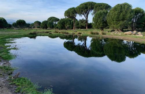 El Refugio de Felix - Photo 73