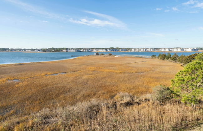 Hidden Paradise Coastal Views! - Foto 26