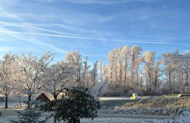 Ferienbauernhof Rosenberger - Foto 29