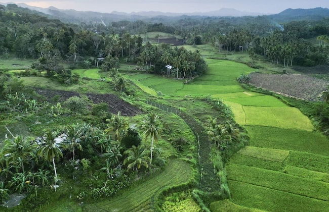 Sobral Rice Terraces View - Foto 51