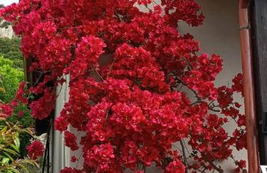 Sweet Home - Foto 51