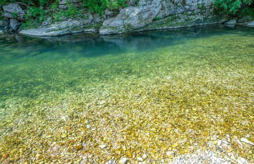 Secluded Vacation Rental Bordering Creek! - Foto 29