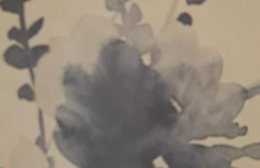 La casetta al mare di Bubi - Foto 16