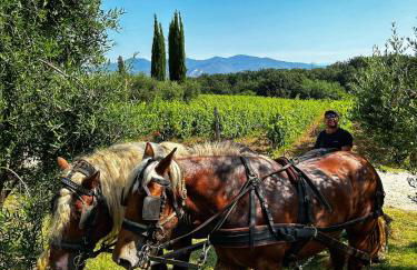 Agriturismo Gli Archi - Foto 44