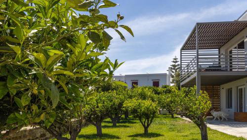 Kappa Home tinos - Foto 2, Garden