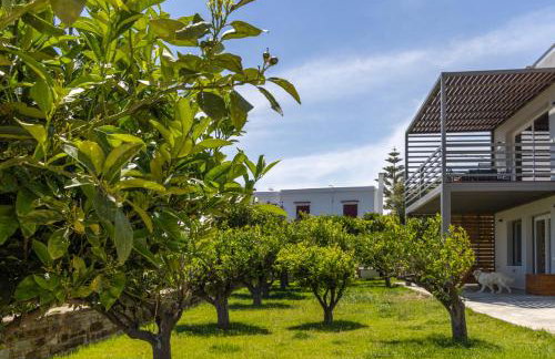 Kappa Home tinos - Foto 2