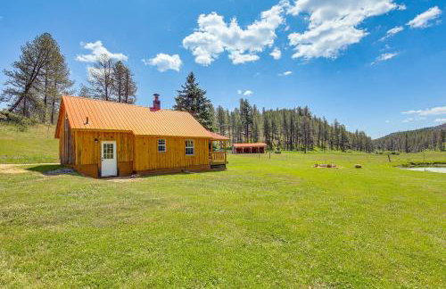 Remote Custer Cabin with Fire Pit and Near State Park! - Foto 22