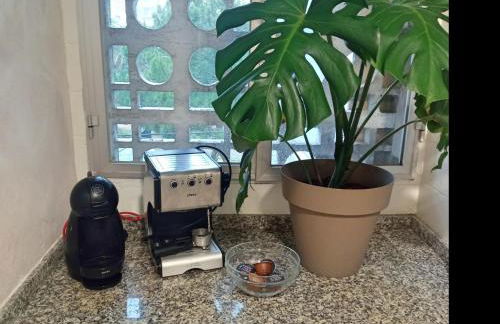 Apartamento Luz de Levante - Foto 17