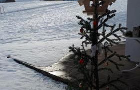 Ferienwohnungen Reiter inkl. Chiemgaukarte - Foto 19