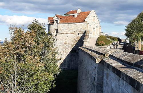 Les Carmes - Photo 9