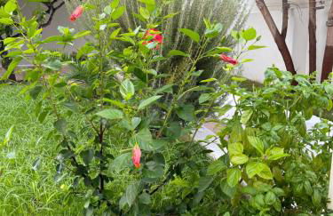 Perla dei Messapi - Foto 34