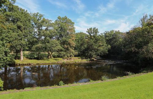 Maes Madog - Foto 63