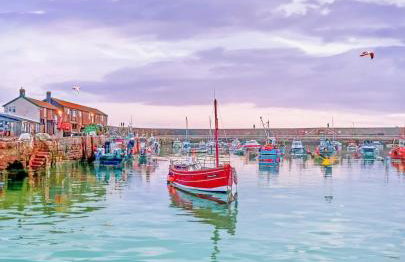 Sunny Side - in the Heart of Beer - Foto 27