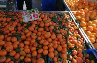 Apartamento Francisco Casanovas - Foto 70