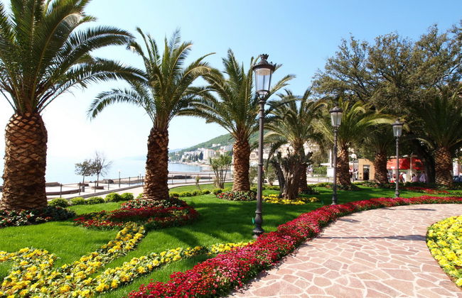 Villa Orhidea - Foto 51