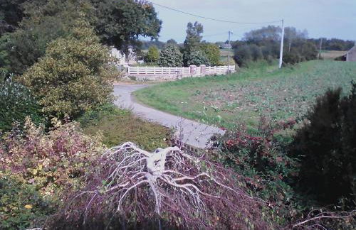 Gîte Lézardrieux - Foto 17