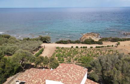 La PAVONCELLA 2 - Foto 30