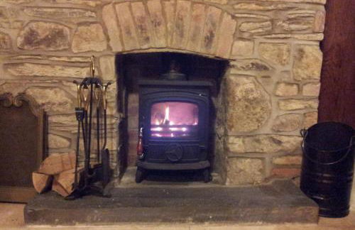 David's Organic Farm Wales - Foto 29