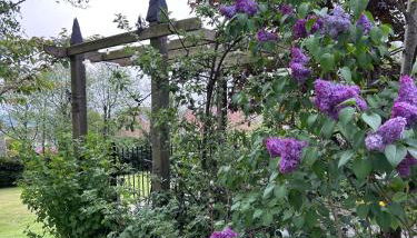 The Loft at Rowantree Cottage - Foto 5, Garden