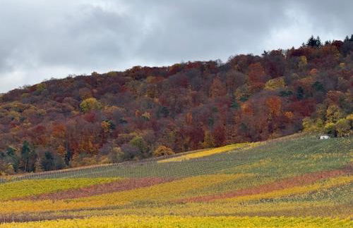 Panorama 180 - Foto 38