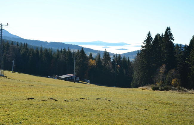 Cozy Forest Adventure Stay - Foto 32