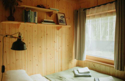 Miło las widzieć - Foto 37