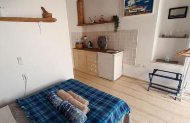 Octopus Blue - Photo 13