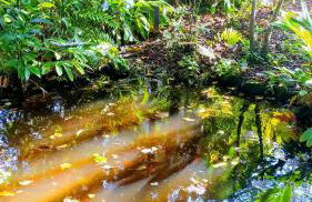 Bangalô praia de Guaratiba Prado com piscina privativa - Photo 17