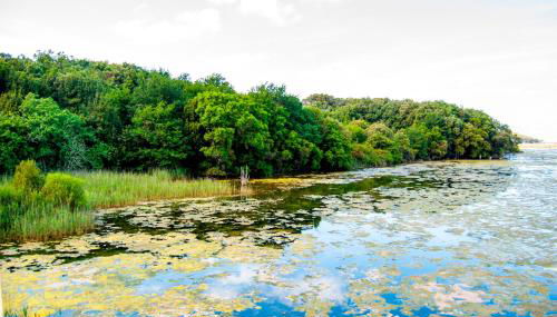 Playa De Arnadal Isla - Foto 5