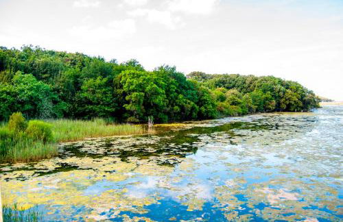 Playa De Arnadal Isla - Foto 5