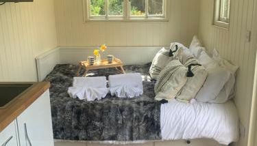 The City Hut - Photo 2