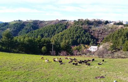 Casa Pizzarelli - Foto 22