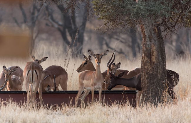 Cottage Lenisè - Foto 23