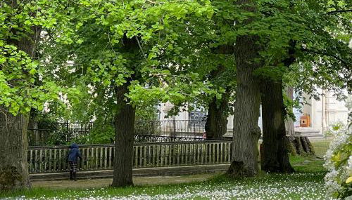 Les écuries du château - Foto 4